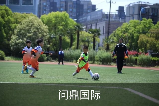 问鼎国际公司简介展示图